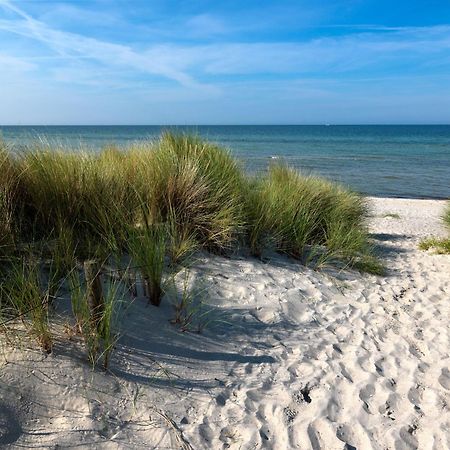 Haus Suedwester Hummer Insel Poel Esterno foto
