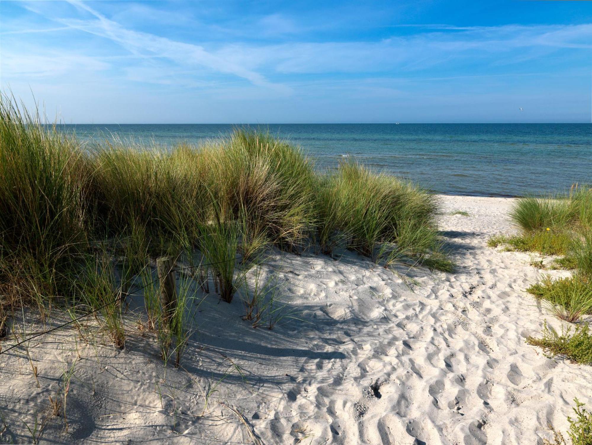Haus Suedwester Hummer Insel Poel Esterno foto